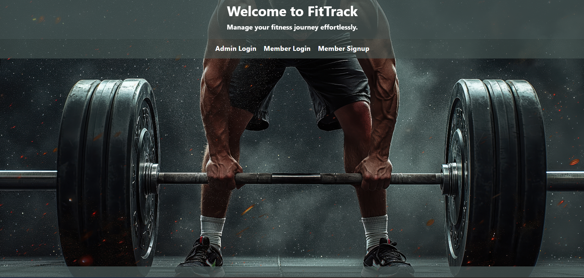 Fitness Management System screenshot